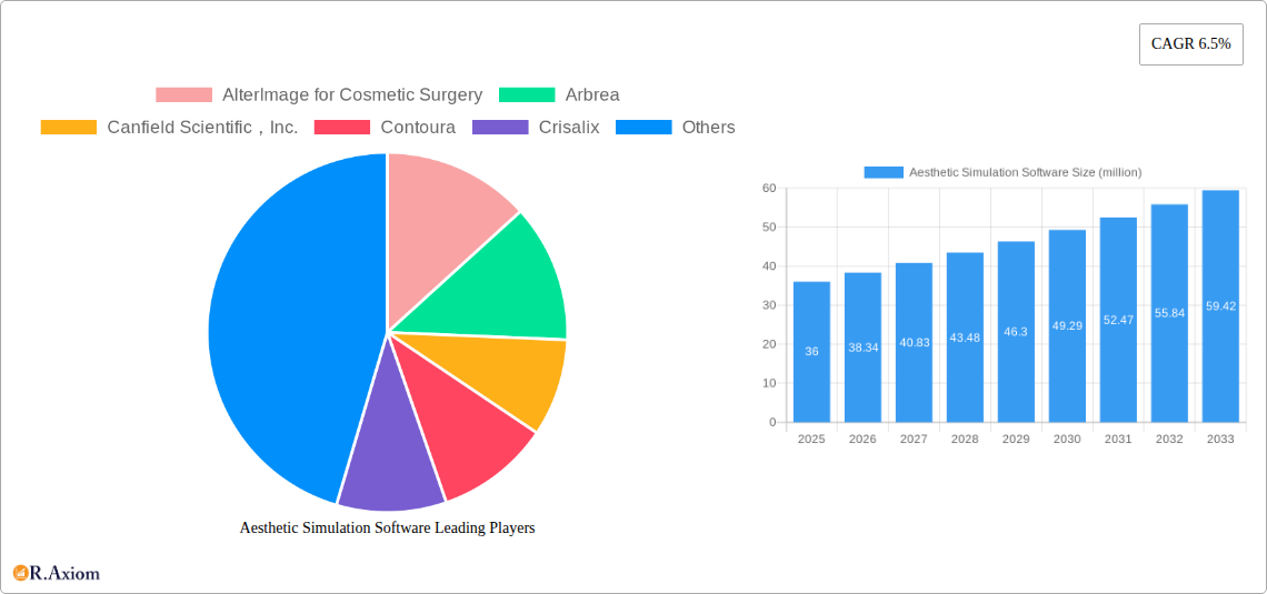 Aesthetic Simulation Software Research Report - Market Size, Growth & Forecast