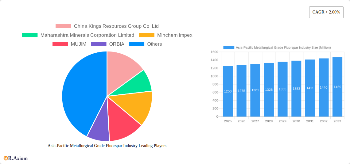Asia-Pacific Metallurgical Grade Fluorspar Industry Research Report - Market Size, Growth & Forecast