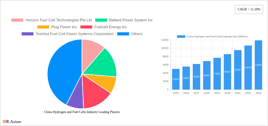 China Hydrogen and Fuel Cells Industry Research Report - Market Size, Growth & Forecast