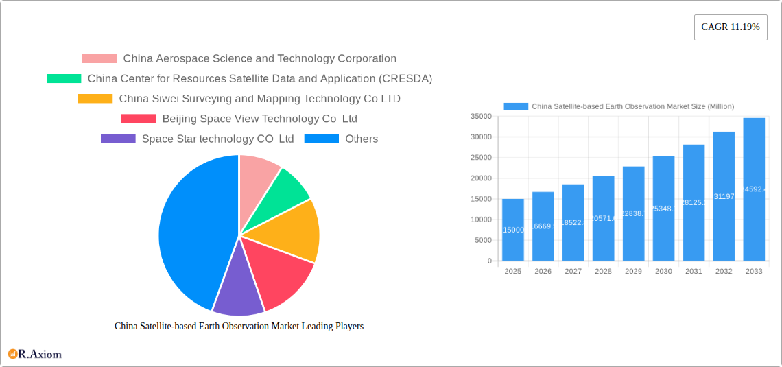 China Satellite-based Earth Observation Market Research Report - Market Size, Growth & Forecast