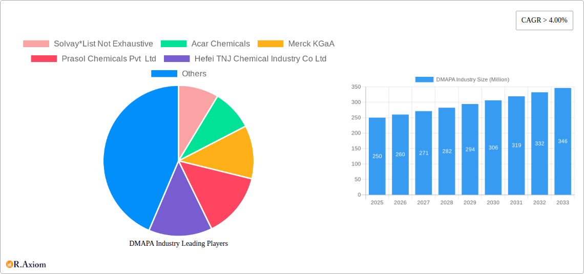 DMAPA Industry Research Report - Market Size, Growth & Forecast