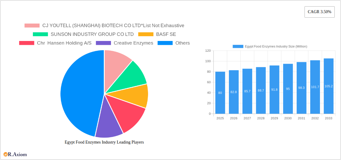 Egypt Food Enzymes Industry Research Report - Market Size, Growth & Forecast