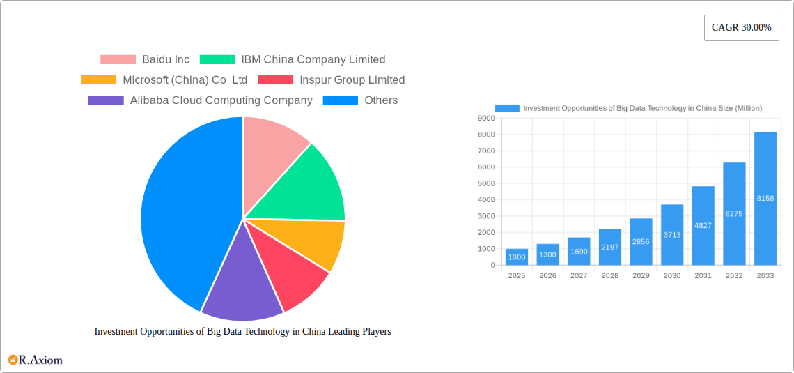 Investment Opportunities of Big Data Technology in China Research Report - Market Size, Growth & Forecast