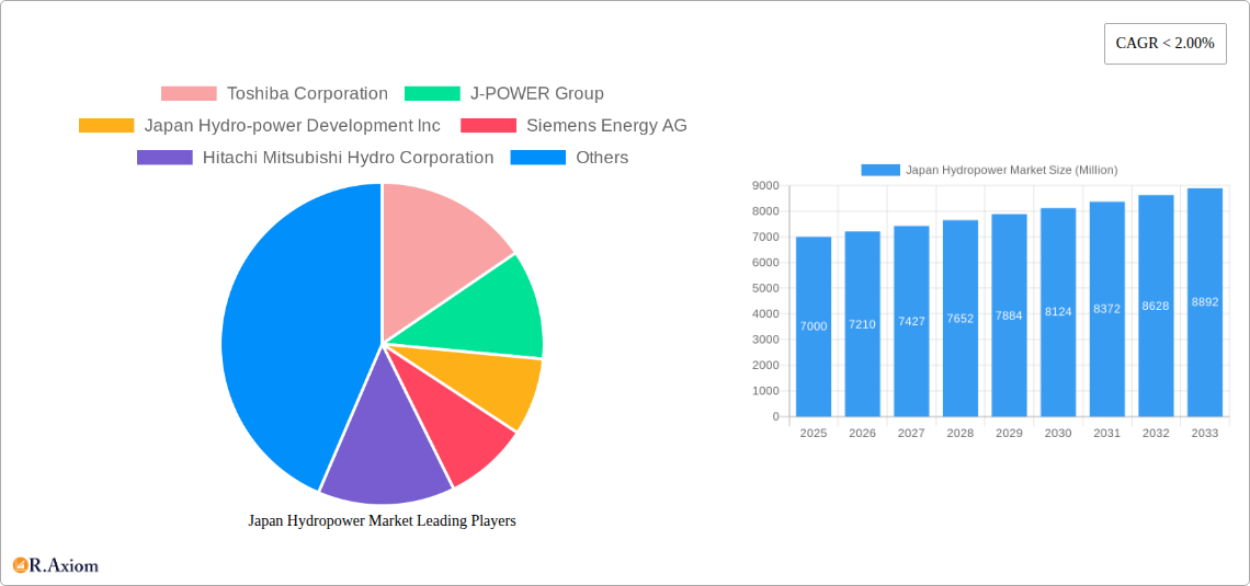 Japan Hydropower Market Research Report - Market Size, Growth & Forecast
