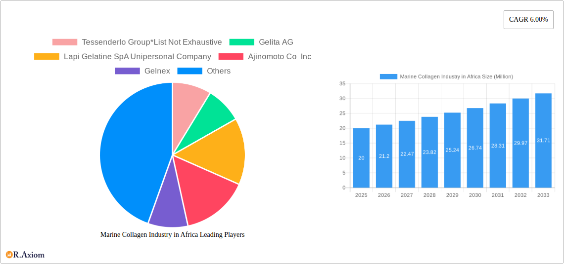 Marine Collagen Industry in Africa Research Report - Market Size, Growth & Forecast