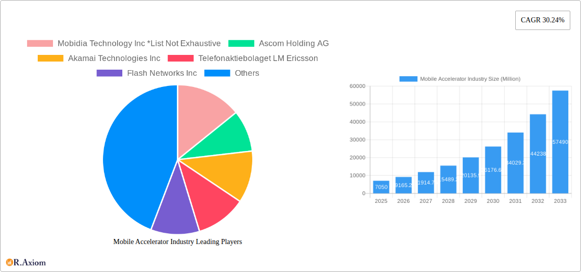 Mobile Accelerator Industry Research Report - Market Size, Growth & Forecast