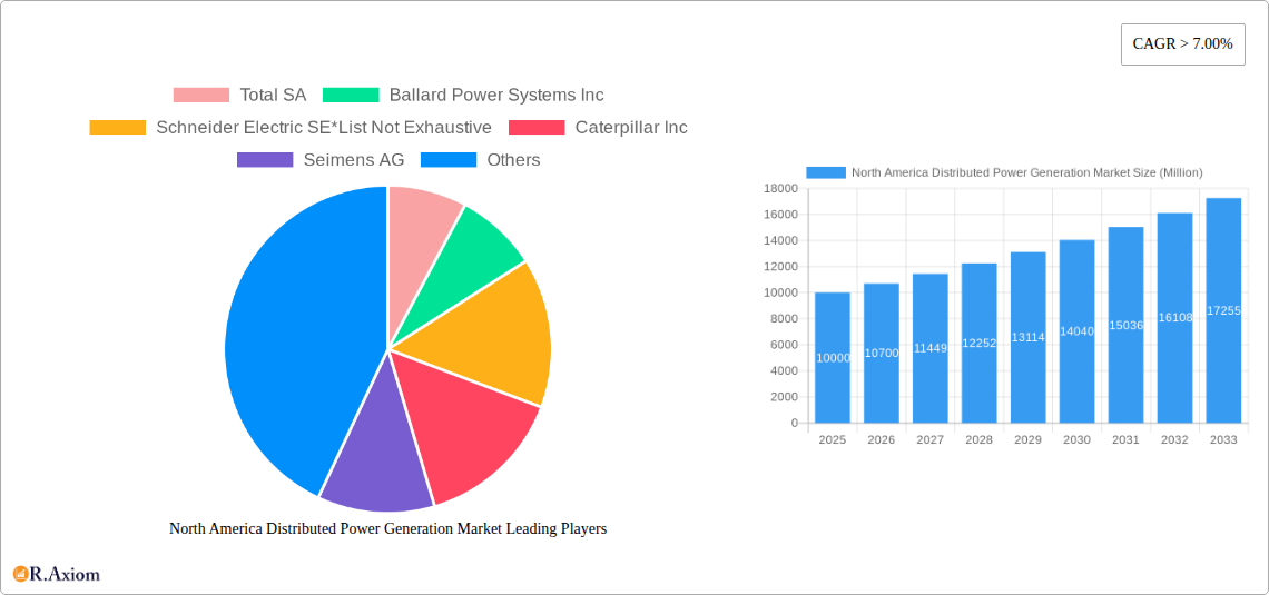 North America Distributed Power Generation Market Research Report - Market Size, Growth & Forecast