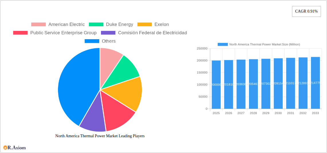 North America Thermal Power Market Research Report - Market Size, Growth & Forecast
