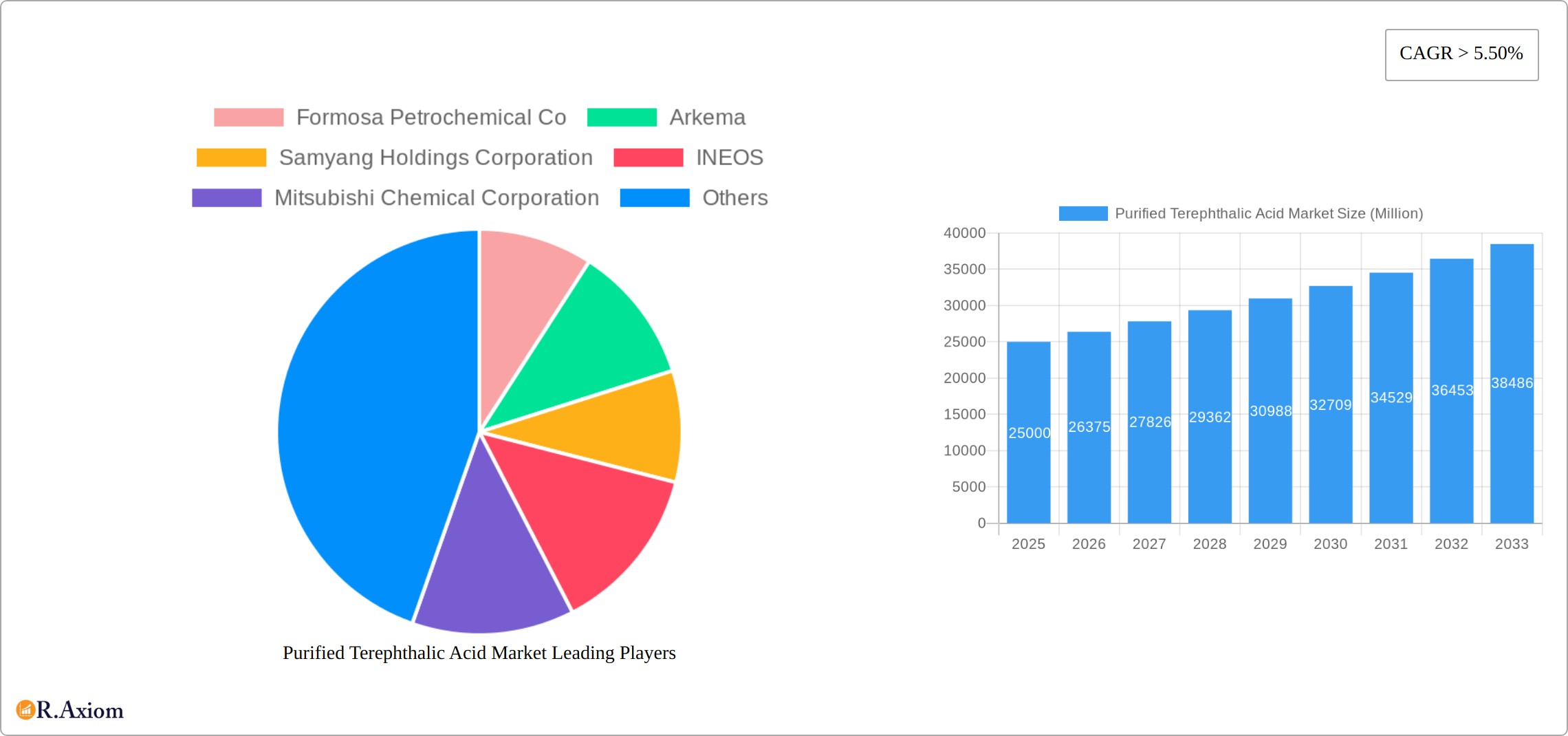 Purified Terephthalic Acid Market Research Report - Market Size, Growth & Forecast
