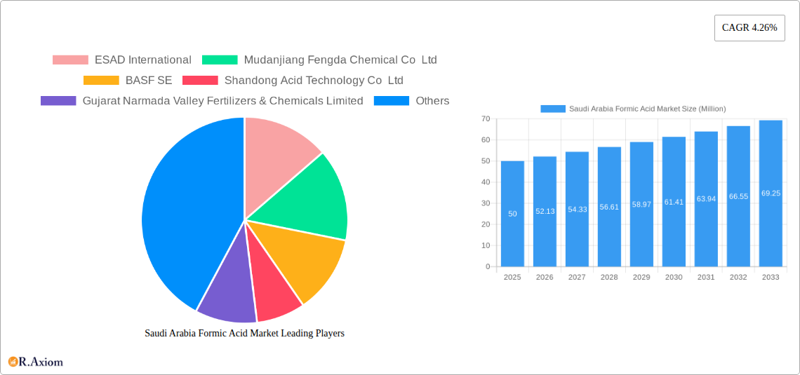 Saudi Arabia Formic Acid Market Research Report - Market Size, Growth & Forecast