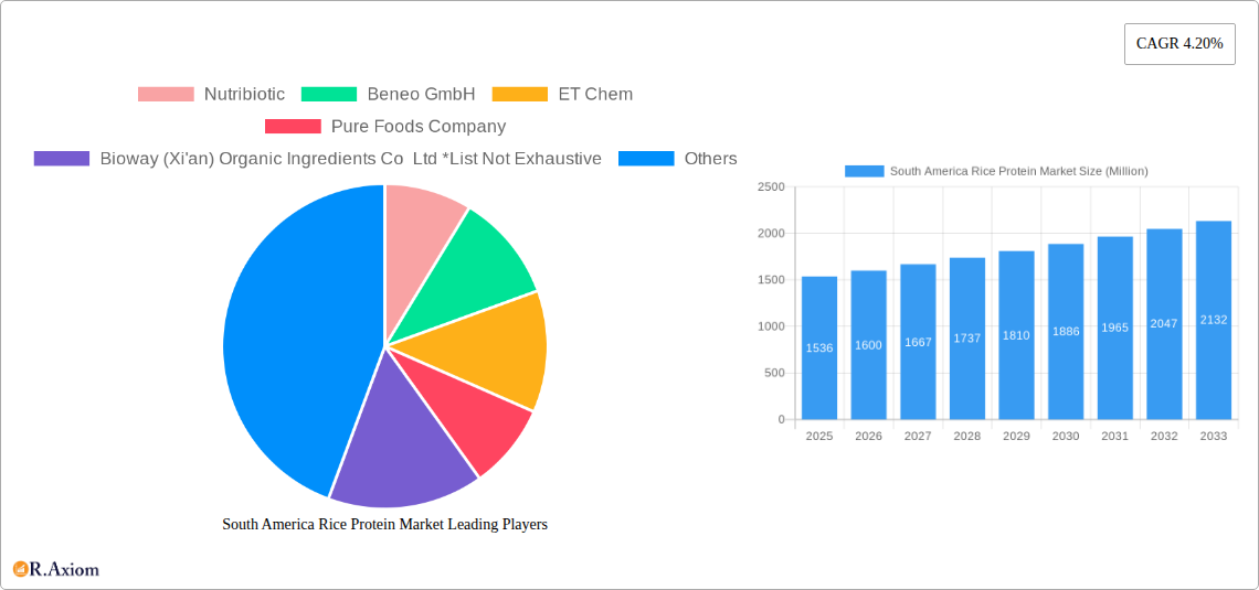South America Rice Protein Market Research Report - Market Size, Growth & Forecast