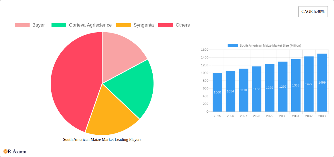 South American Maize Market Research Report - Market Size, Growth & Forecast