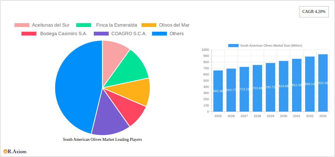 South American Olives Market Research Report - Market Size, Growth & Forecast