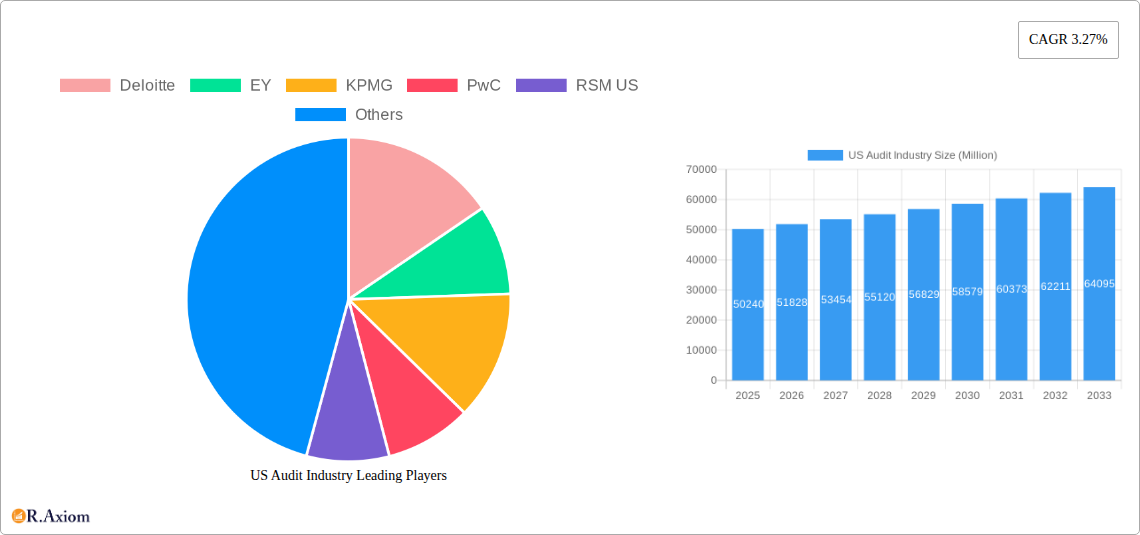 US Audit Industry Research Report - Market Size, Growth & Forecast