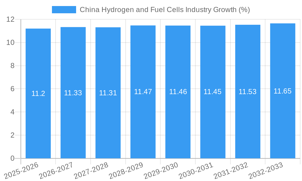 China Hydrogen and Fuel Cells Industry Growth