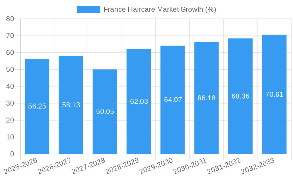 France Haircare Market Growth