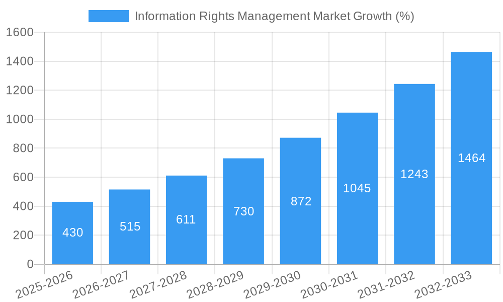 Information Rights Management Market Growth