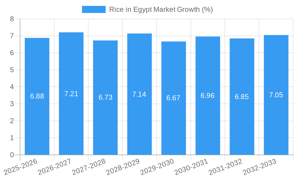 Rice in Egypt Market Growth