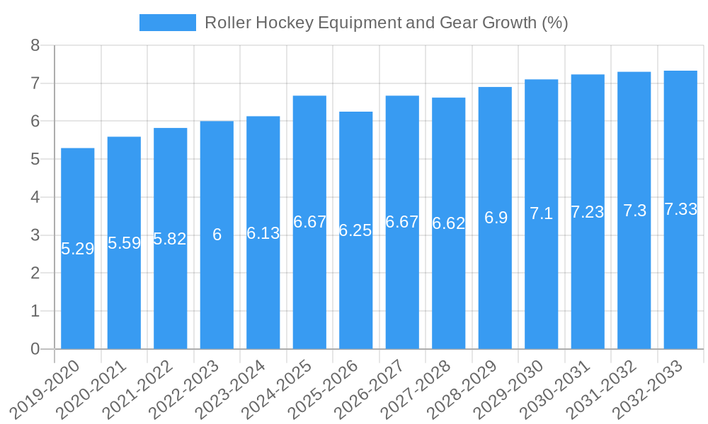 Roller Hockey Equipment and Gear Growth