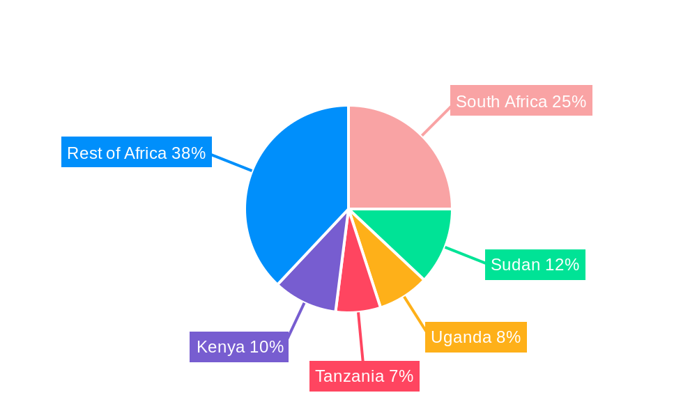 Africa Diesel Generator Market Regional Share