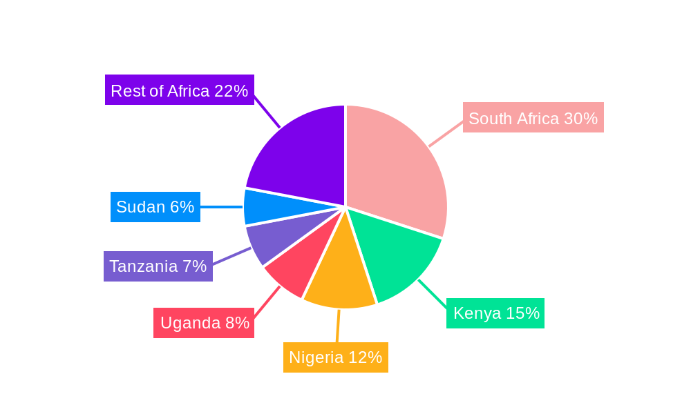 Africa Seasoning and Spices Market Regional Share