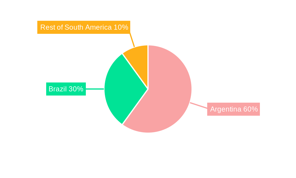 Argentina Maize Market Regional Share