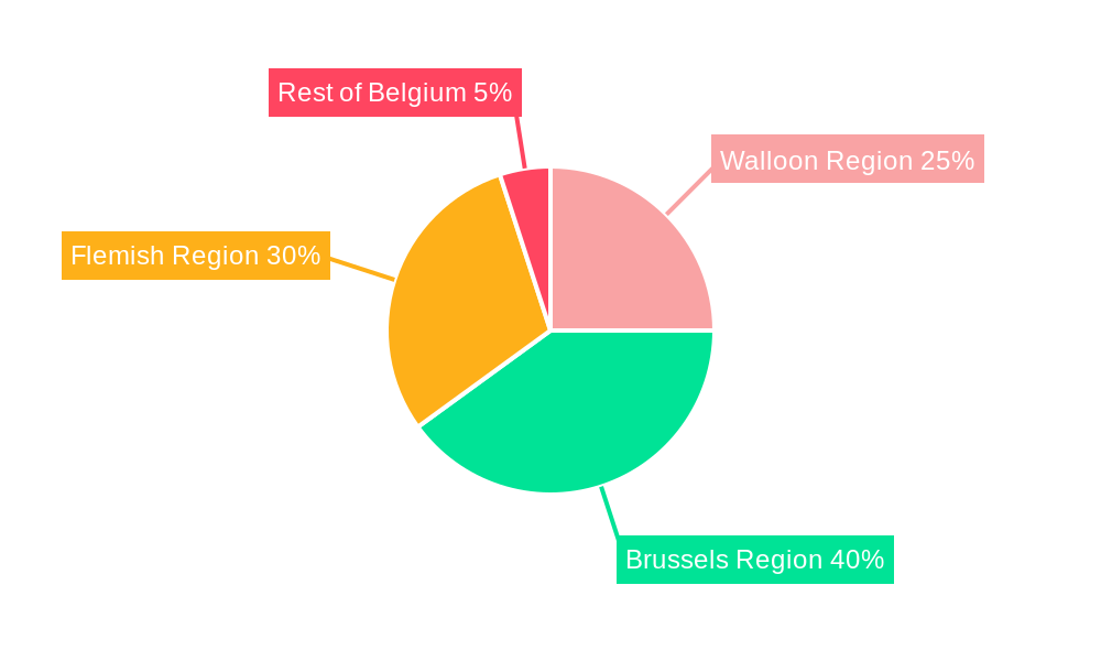Belgium Luxury Residential Real Estate Industry Regional Share