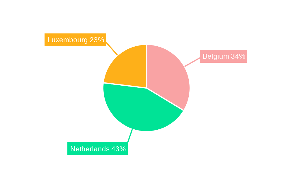 Benelux Cybersecurity Market Regional Share
