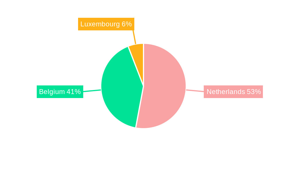 Benelux Pouch Packaging Market Regional Share