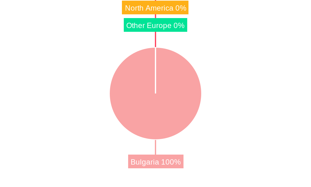 Bulgaria ICT Market Regional Share
