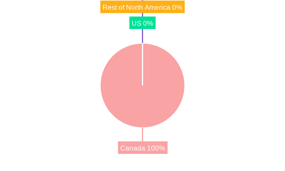 Canada Digital Transformation Market Regional Share