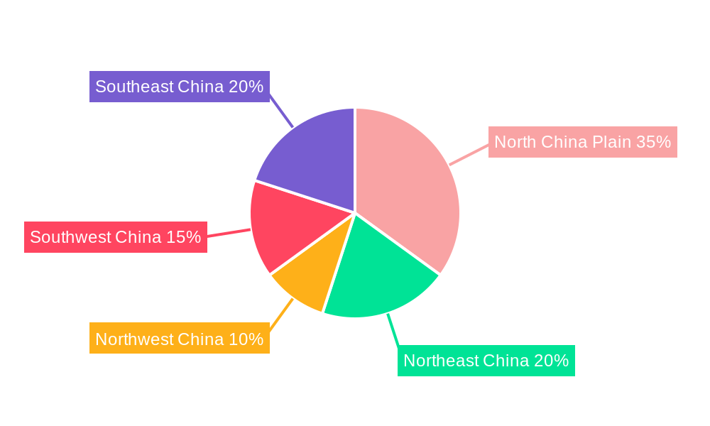 China Oil and Gas Market Regional Share