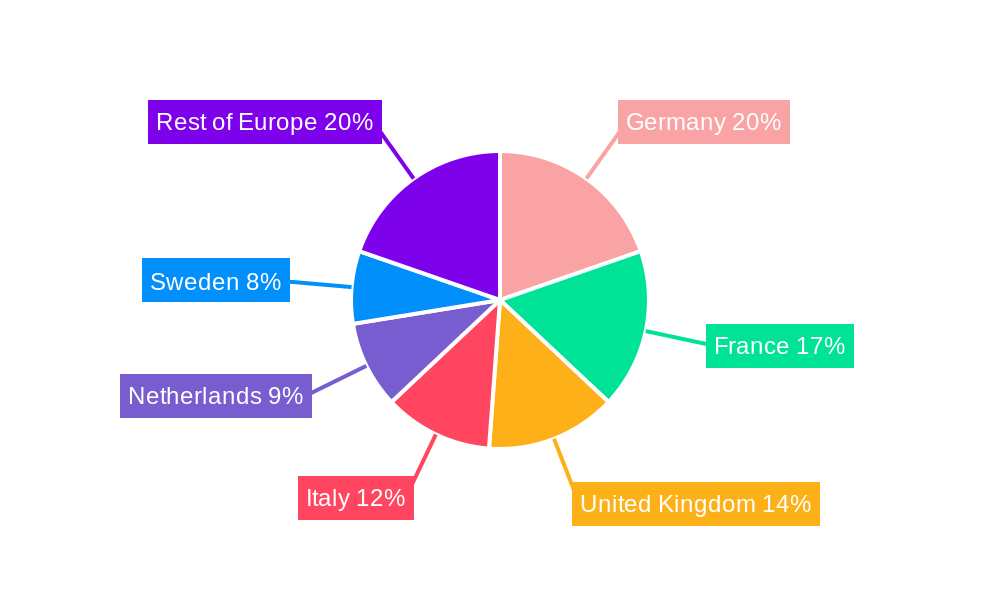 Europe Amusement Parks Market Regional Share