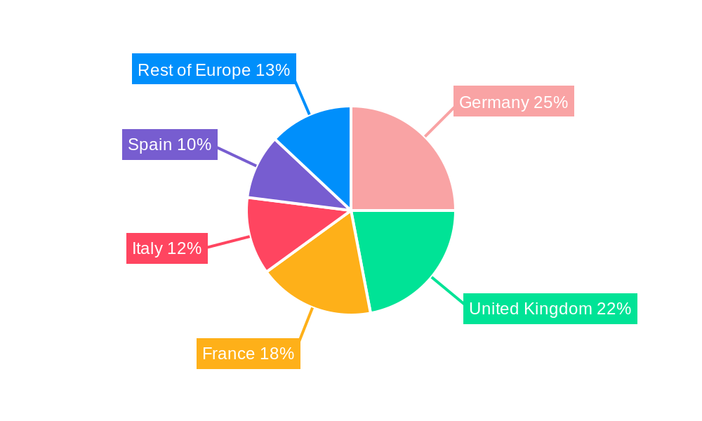 Europe Artificial Grass Market Regional Share
