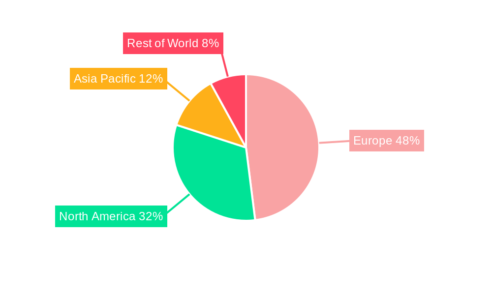 Europe Biguanide Market Regional Share