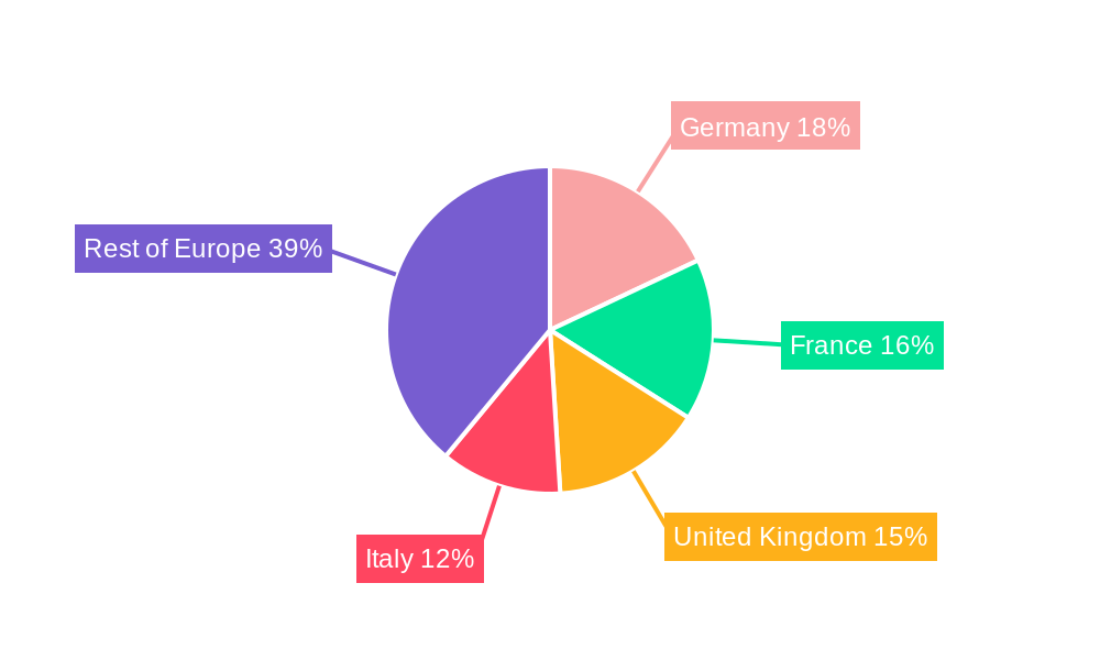 Europe Museums, Historical Sites, Zoos, And Parks Regional Share