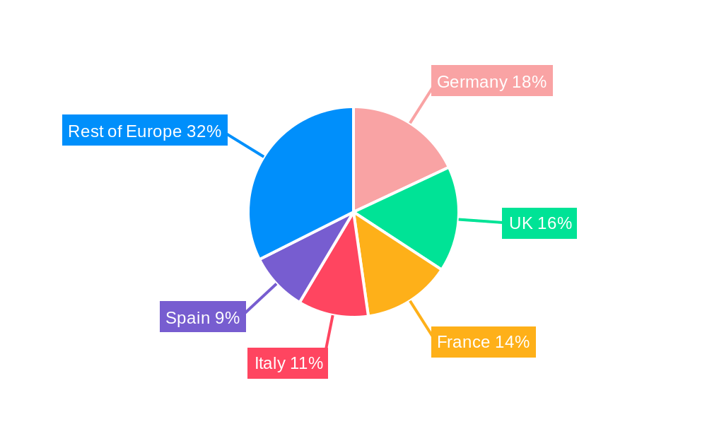 Europe Public Infrastructure Safety Market Regional Share