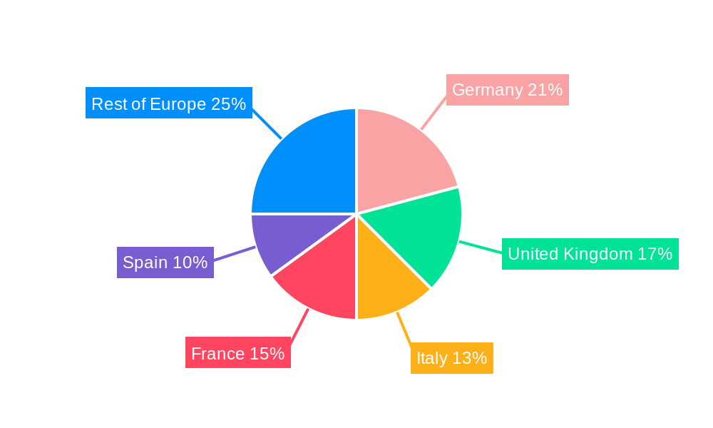 European Motor Homes Market Regional Share