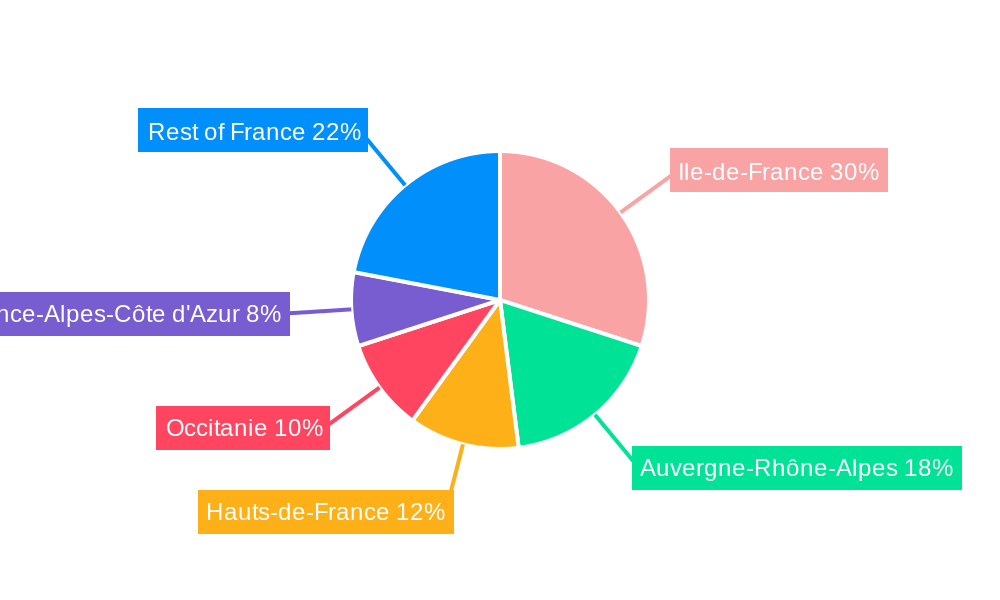 France DC Motors Market Regional Share
