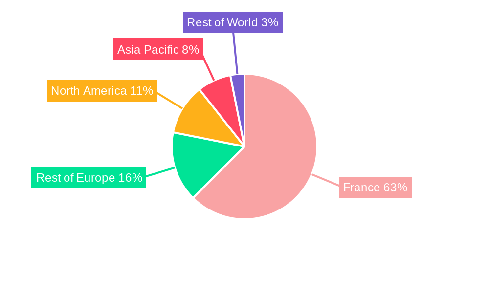 France Geospatial Analytics Market Regional Share