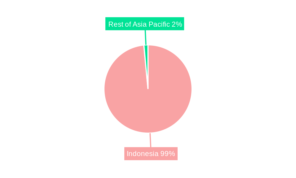 Indonesia Power Generation EPC Market Regional Share