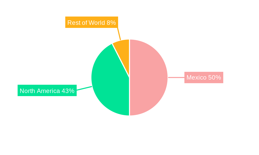 Mexico Automotive Parts Die Casting Market Regional Share