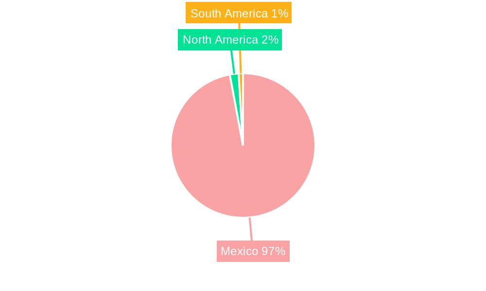 Mexico Electric Car Market Regional Share