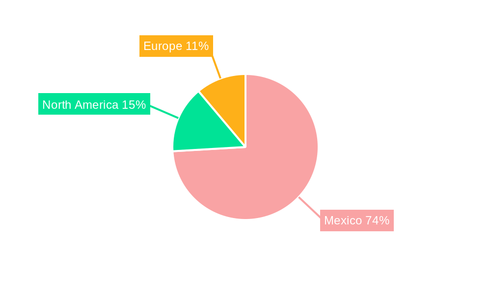 Mexico Plant - Based Food and Beverage Market Regional Share