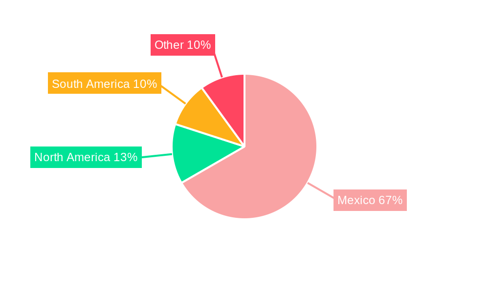 Mexico Video Surveillance Market Regional Share