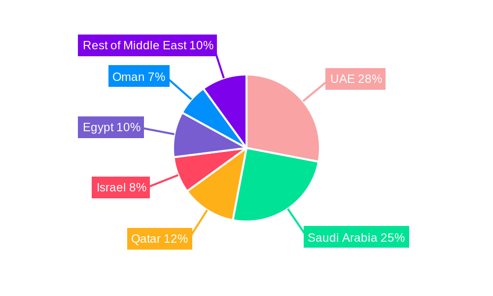Middle East Aviation Market Regional Share