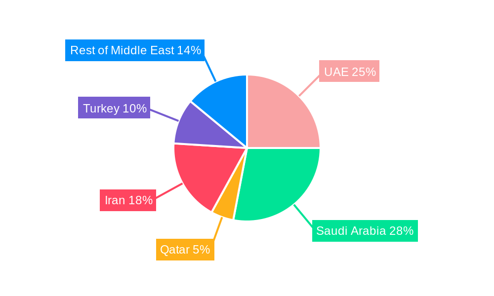 Middle East Passenger Vehicles Lubricants Market Regional Share