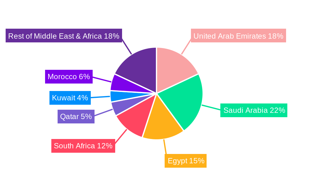 Middle East and Africa Aerosol Disinfectants Market Regional Share