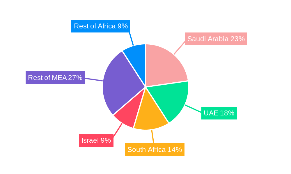 Middle-East and Africa Nanosensors Market Regional Share