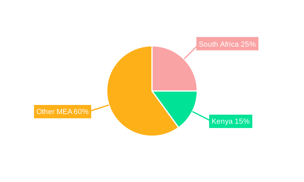 Middle East and Africa Outdoor LED Lighting Market Regional Share